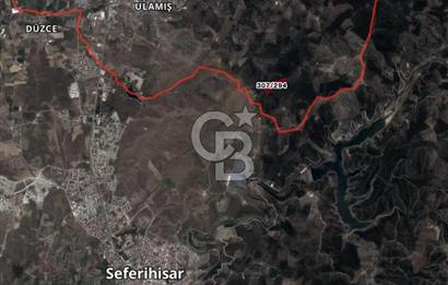 İMAR SINIRINDA SATILIK ZEYTİNLİK