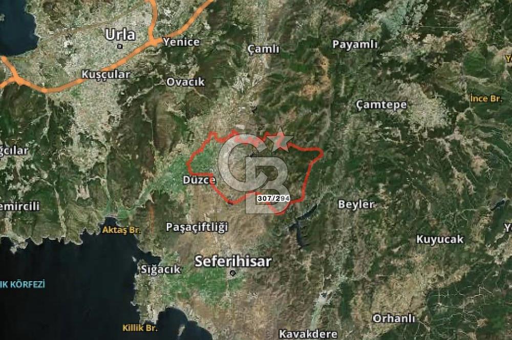 İMAR SINIRINDA SATILIK ZEYTİNLİK