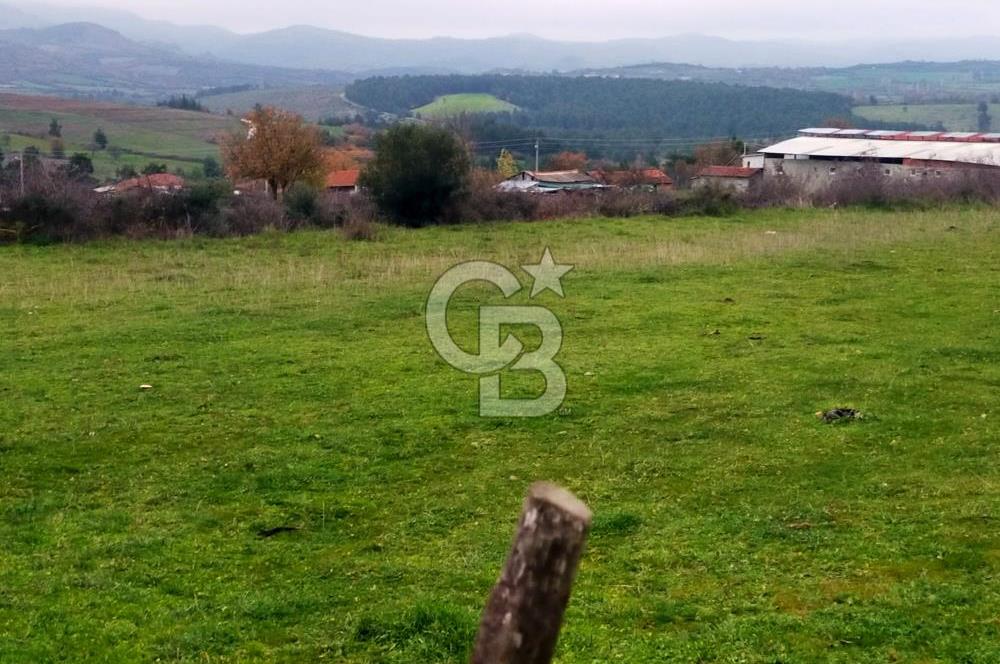 Çan Dondurma Köyü 4.500 m² Köy İçi İmarlı Arsa (2 Parsel)