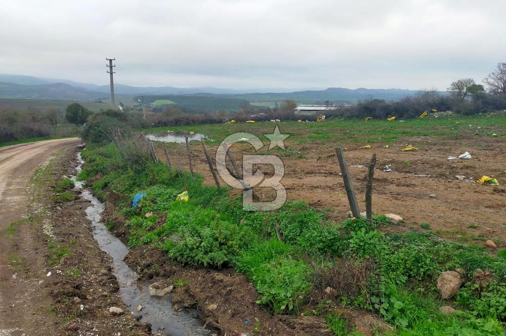 Çan Dondurma Köyü 4.500 m² Köy İçi İmarlı Arsa (2 Parsel)
