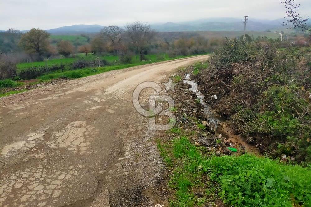 Çan Dondurma Köyü 4.500 m² Köy İçi İmarlı Arsa (2 Parsel)