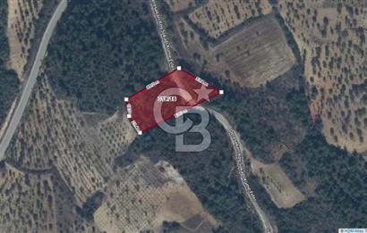 CB'DAN BİLECİK MERKEZ DERESAKARI, 3,400M2, MÜSTAKİL, SATILIK ARAZİ