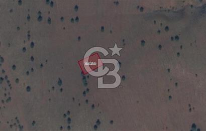 Kırıkkale Keskin Gündoğdu Mahallesinde 10 Kat İmarlı Arsa