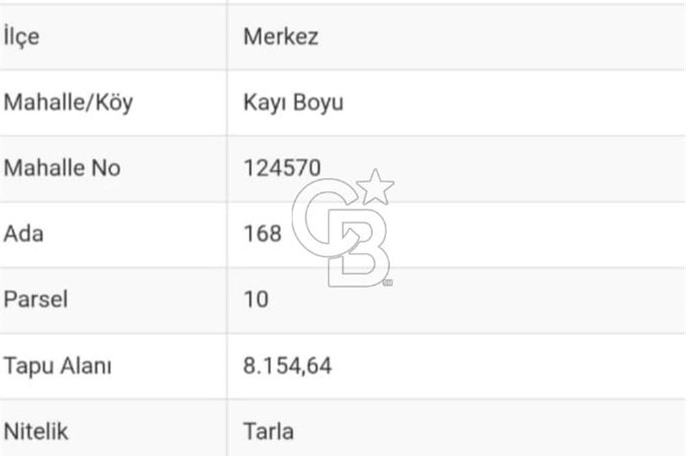 Bilecik,Aşağıköy,Kayı Boyunda otogara ve YHT ne yakın tarla