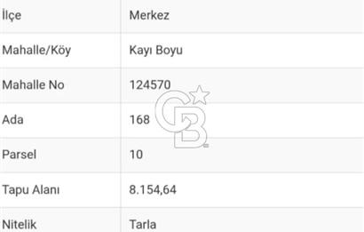 Bilecik,Aşağıköy,Kayı Boyunda otogara ve YHT ne yakın tarla