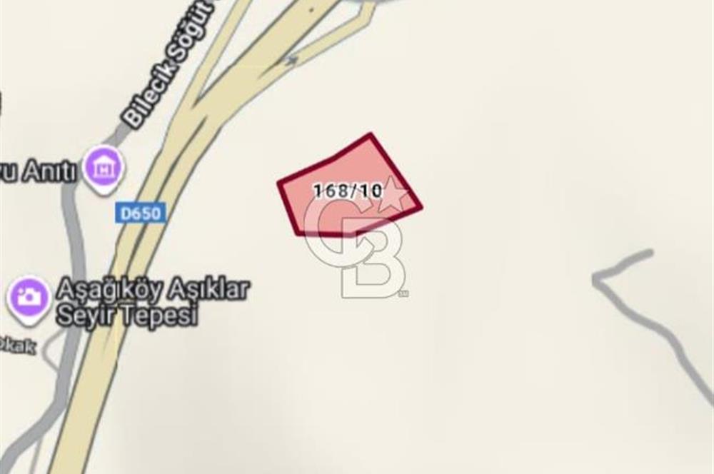 Bilecik,Aşağıköy,Kayı Boyunda otogara ve YHT ne yakın tarla