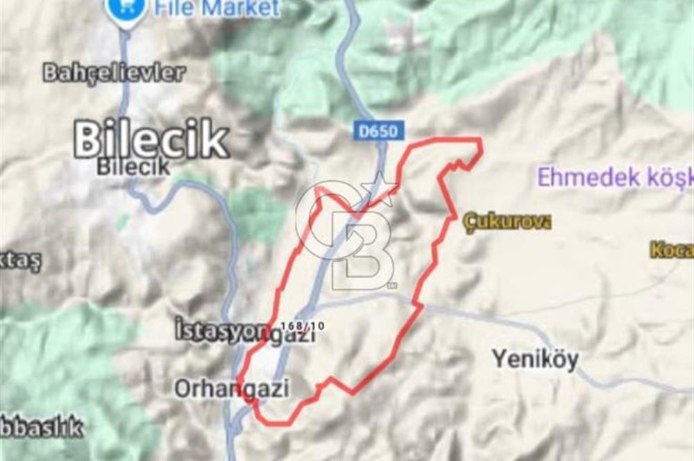 Bilecik,Aşağıköy,Kayı Boyunda otogara ve YHT ne yakın tarla