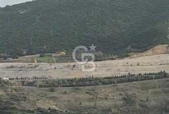 Bilecik,Aşağıköy,Kayı Boyunda otogara ve YHT ne yakın tarla - 3 - 320628