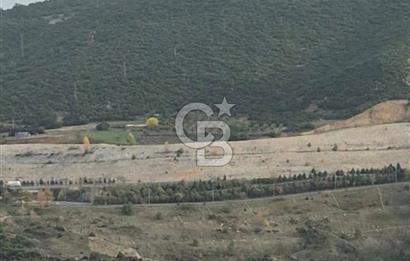 Bilecik,Aşağıköy,Kayı Boyunda otogara ve YHT ne yakın tarla