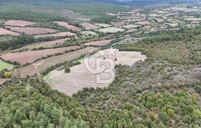 ÇANAKKALE BAYRAMİÇ ÜÇYOL KÖY'ÜNDE YATIRIMLIK PREMİUM FIRSAT!!!