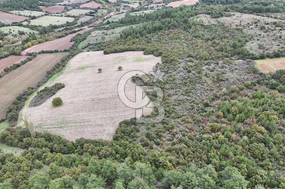 ÇANAKKALE BAYRAMİÇ ÜÇYOL KÖY'ÜNDE YATIRIMLIK PREMİUM FIRSAT!!!