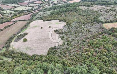 ÇANAKKALE BAYRAMİÇ ÜÇYOL KÖY'ÜNDE YATIRIMLIK PREMİUM FIRSAT!!!