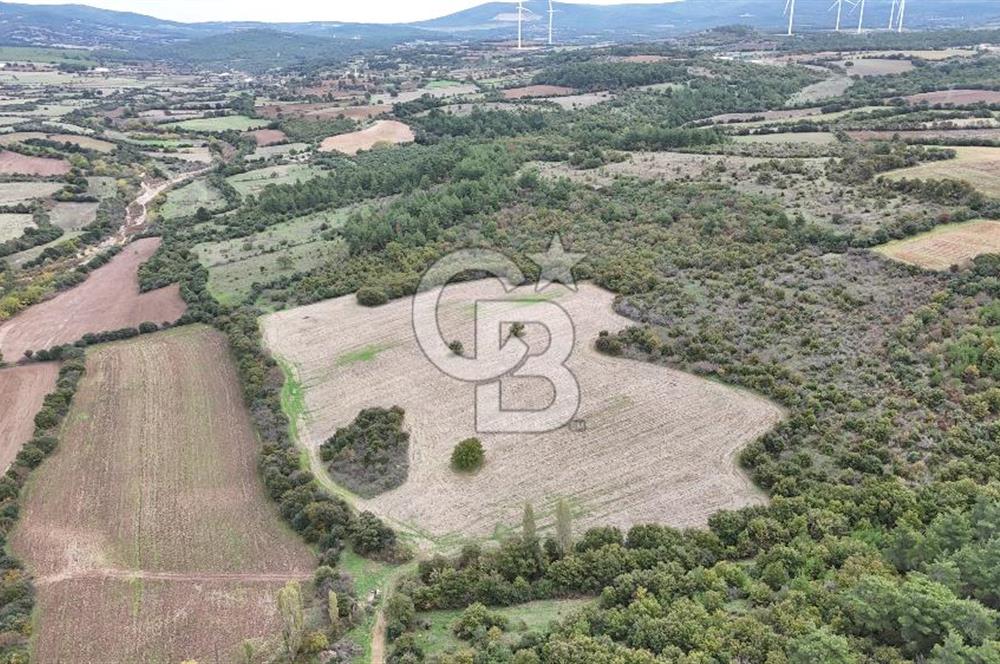 ÇANAKKALE BAYRAMİÇ ÜÇYOL KÖY'ÜNDE YATIRIMLIK PREMİUM FIRSAT!!!