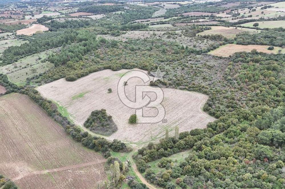 ÇANAKKALE BAYRAMİÇ ÜÇYOL KÖY'ÜNDE YATIRIMLIK PREMİUM FIRSAT!!!