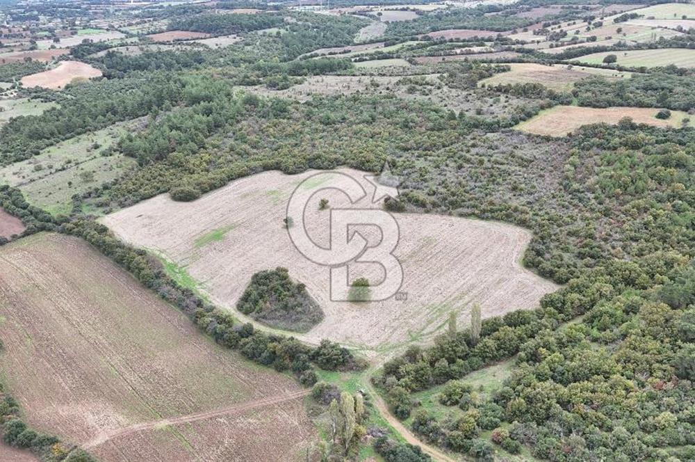 ÇANAKKALE BAYRAMİÇ ÜÇYOL KÖY'ÜNDE YATIRIMLIK PREMİUM FIRSAT!!!