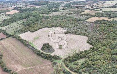 ÇANAKKALE BAYRAMİÇ ÜÇYOL KÖY'ÜNDE YATIRIMLIK PREMİUM FIRSAT!!!