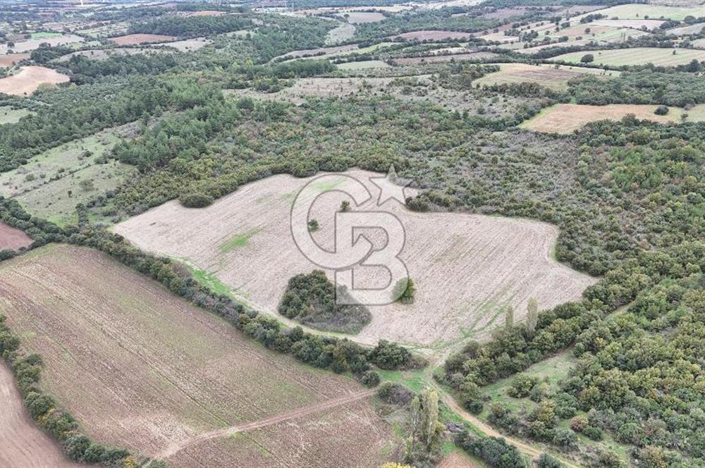 ÇANAKKALE BAYRAMİÇ ÜÇYOL KÖY'ÜNDE YATIRIMLIK PREMİUM FIRSAT!!!