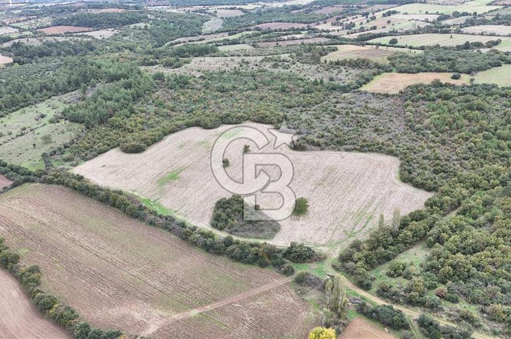 ÇANAKKALE BAYRAMİÇ ÜÇYOL KÖY'ÜNDE YATIRIMLIK PREMİUM FIRSAT!!!