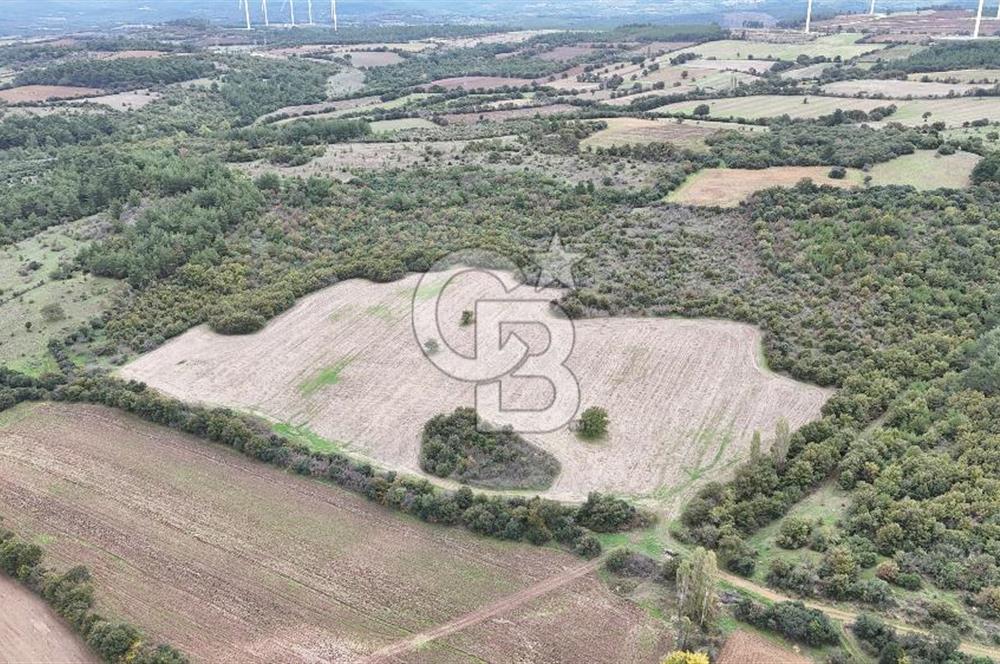 ÇANAKKALE BAYRAMİÇ ÜÇYOL KÖY'ÜNDE YATIRIMLIK PREMİUM FIRSAT!!!