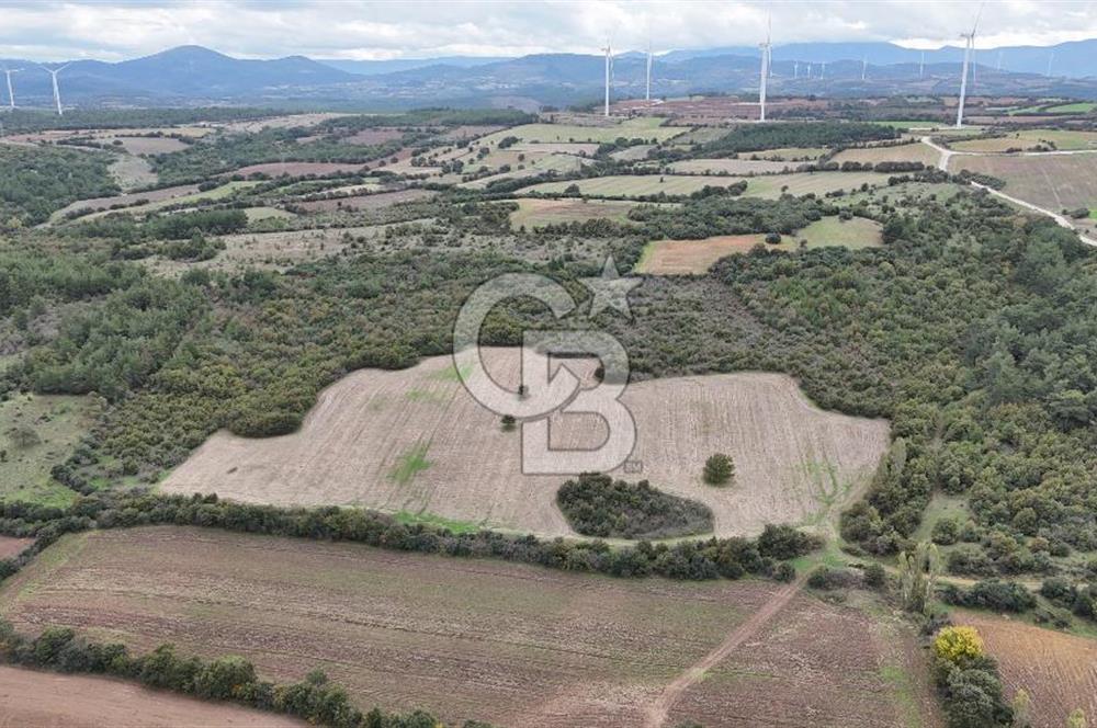 ÇANAKKALE BAYRAMİÇ ÜÇYOL KÖY'ÜNDE YATIRIMLIK PREMİUM FIRSAT!!!