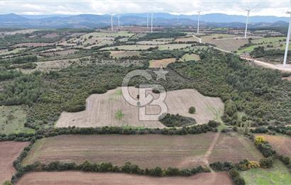 ÇANAKKALE BAYRAMİÇ ÜÇYOL KÖY'ÜNDE YATIRIMLIK PREMİUM FIRSAT!!!