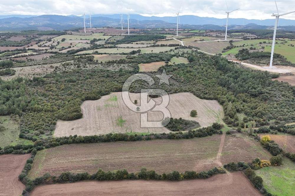 ÇANAKKALE BAYRAMİÇ ÜÇYOL KÖY'ÜNDE YATIRIMLIK PREMİUM FIRSAT!!!