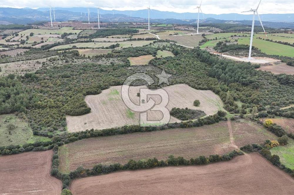 ÇANAKKALE BAYRAMİÇ ÜÇYOL KÖY'ÜNDE YATIRIMLIK PREMİUM FIRSAT!!!