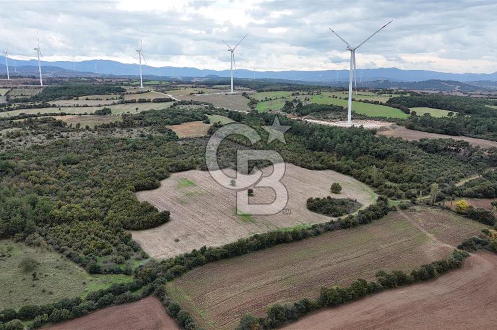 ÇANAKKALE BAYRAMİÇ ÜÇYOL KÖY'ÜNDE YATIRIMLIK PREMİUM FIRSAT!!!