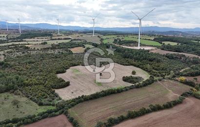 ÇANAKKALE BAYRAMİÇ ÜÇYOL KÖY'ÜNDE YATIRIMLIK PREMİUM FIRSAT!!!