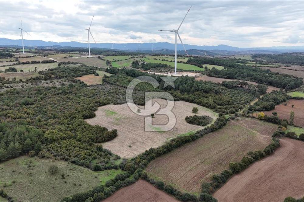 ÇANAKKALE BAYRAMİÇ ÜÇYOL KÖY'ÜNDE YATIRIMLIK PREMİUM FIRSAT!!!