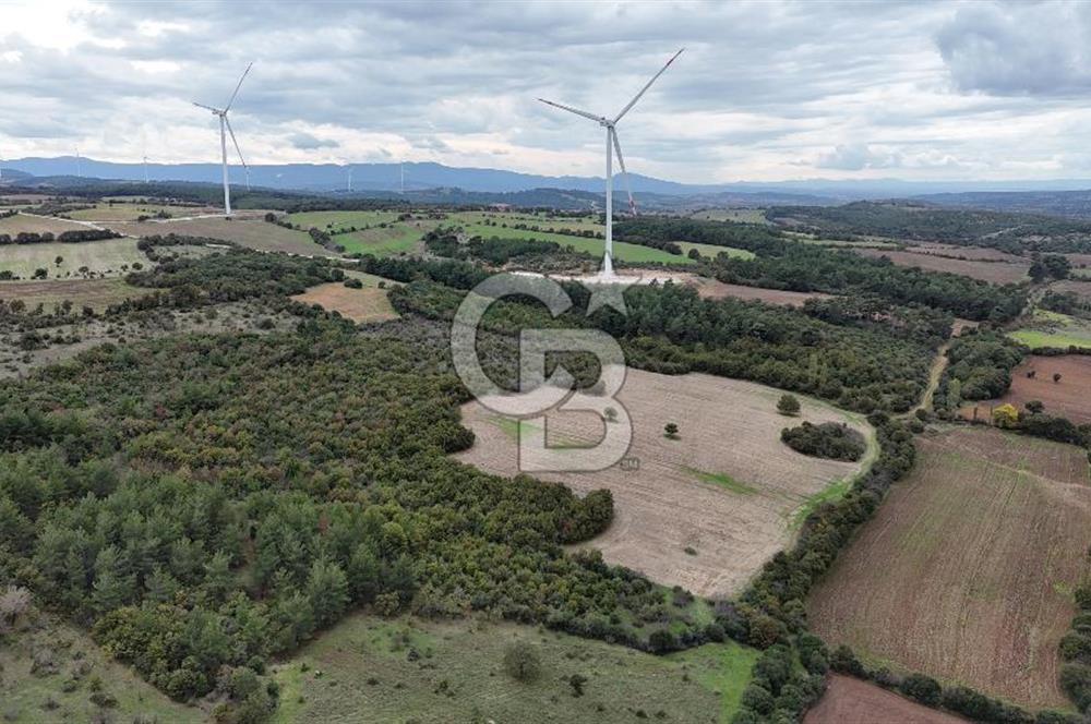 ÇANAKKALE BAYRAMİÇ ÜÇYOL KÖY'ÜNDE YATIRIMLIK PREMİUM FIRSAT!!!