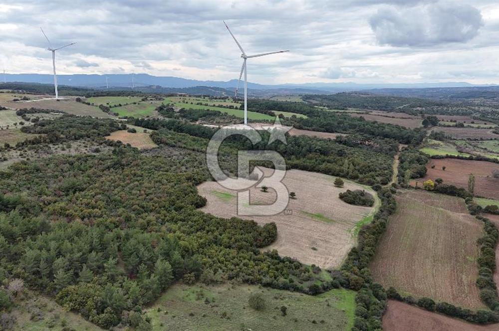 ÇANAKKALE BAYRAMİÇ ÜÇYOL KÖY'ÜNDE YATIRIMLIK PREMİUM FIRSAT!!!