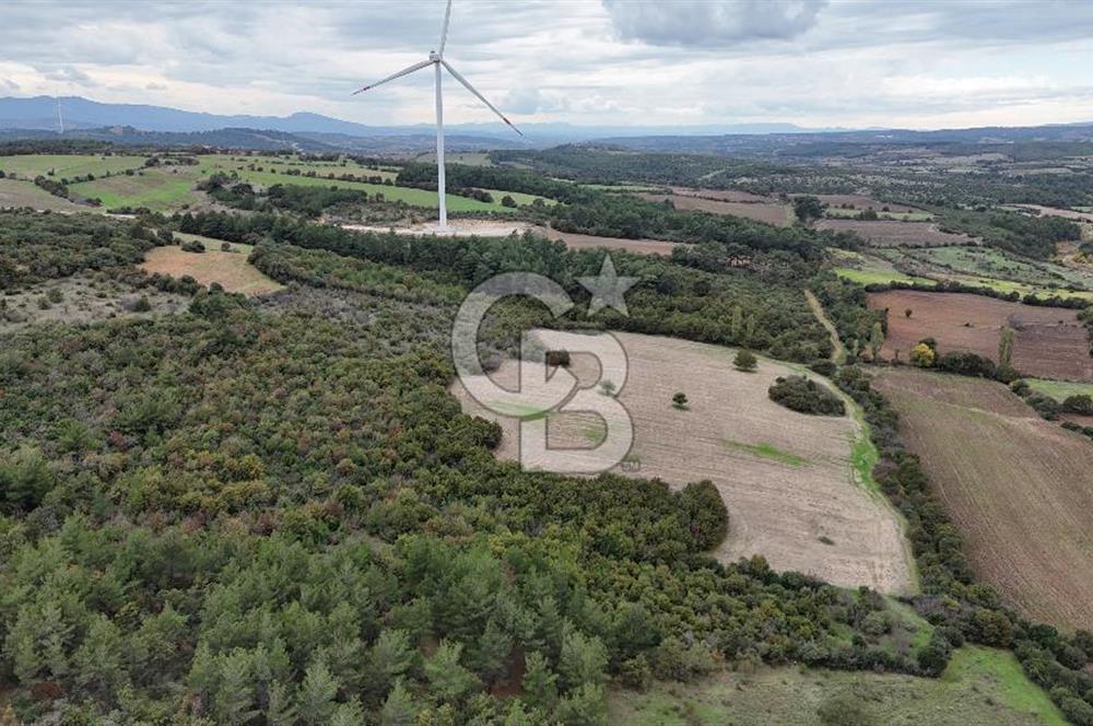 ÇANAKKALE BAYRAMİÇ ÜÇYOL KÖY'ÜNDE YATIRIMLIK PREMİUM FIRSAT!!!