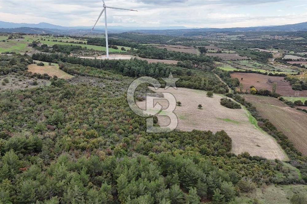 ÇANAKKALE BAYRAMİÇ ÜÇYOL KÖY'ÜNDE YATIRIMLIK PREMİUM FIRSAT!!!
