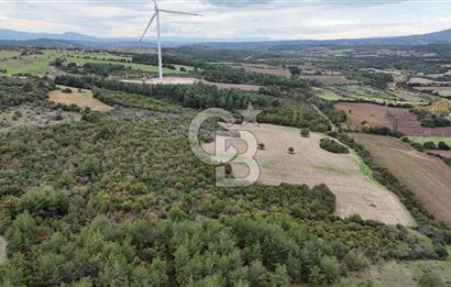 ÇANAKKALE BAYRAMİÇ ÜÇYOL KÖY'ÜNDE YATIRIMLIK PREMİUM FIRSAT!!!
