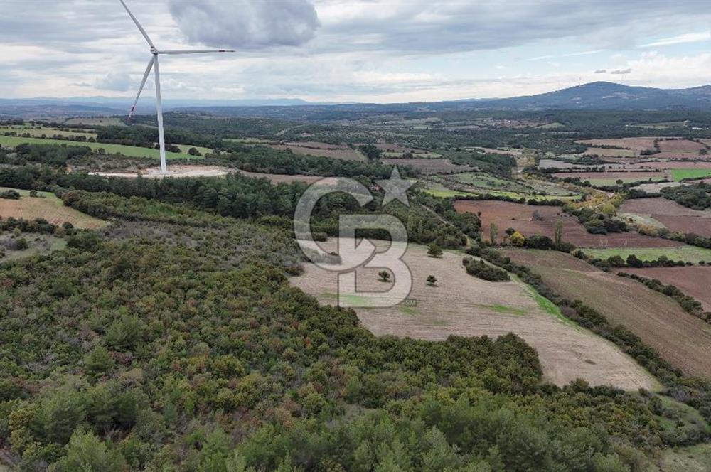 ÇANAKKALE BAYRAMİÇ ÜÇYOL KÖY'ÜNDE YATIRIMLIK PREMİUM FIRSAT!!!