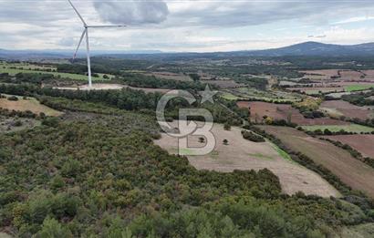ÇANAKKALE BAYRAMİÇ ÜÇYOL KÖY'ÜNDE YATIRIMLIK PREMİUM FIRSAT!!!
