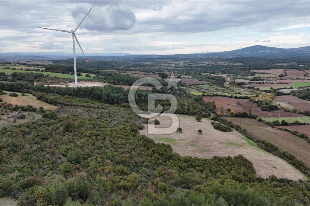 ÇANAKKALE BAYRAMİÇ ÜÇYOL KÖY'ÜNDE YATIRIMLIK PREMİUM FIRSAT!!!