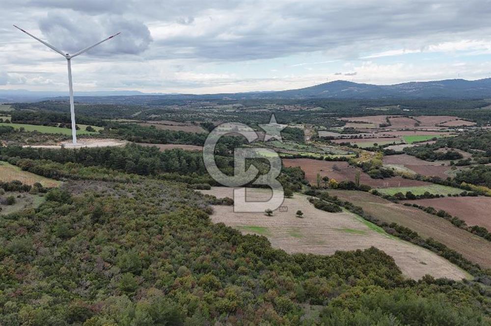 ÇANAKKALE BAYRAMİÇ ÜÇYOL KÖY'ÜNDE YATIRIMLIK PREMİUM FIRSAT!!!