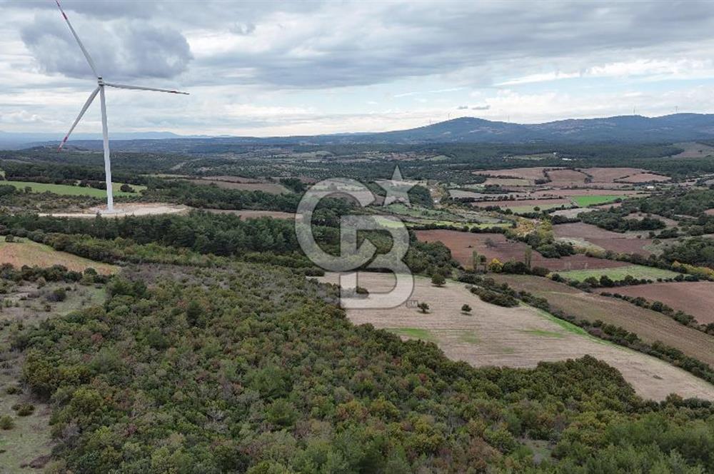 ÇANAKKALE BAYRAMİÇ ÜÇYOL KÖY'ÜNDE YATIRIMLIK PREMİUM FIRSAT!!!