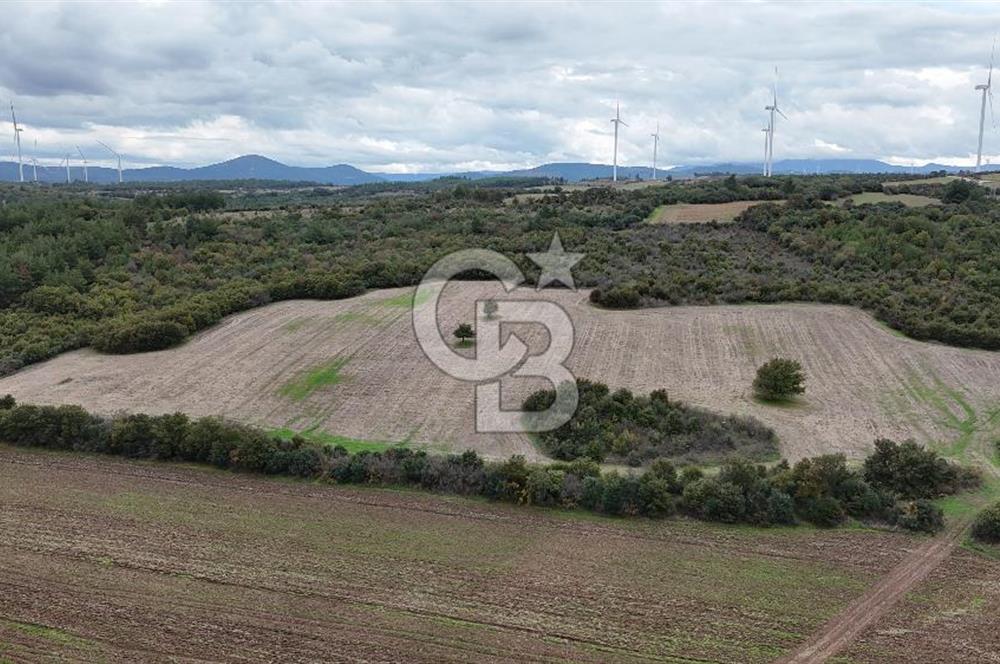 ÇANAKKALE BAYRAMİÇ ÜÇYOL KÖY'ÜNDE YATIRIMLIK PREMİUM FIRSAT!!!