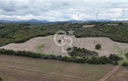 ÇANAKKALE BAYRAMİÇ ÜÇYOL KÖY'ÜNDE YATIRIMLIK PREMİUM FIRSAT!!!