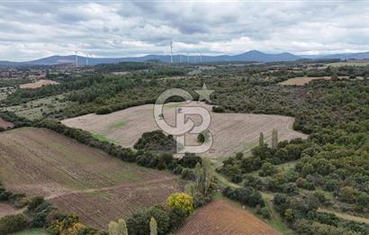 ÇANAKKALE BAYRAMİÇ ÜÇYOL KÖY'ÜNDE YATIRIMLIK PREMİUM FIRSAT!!!