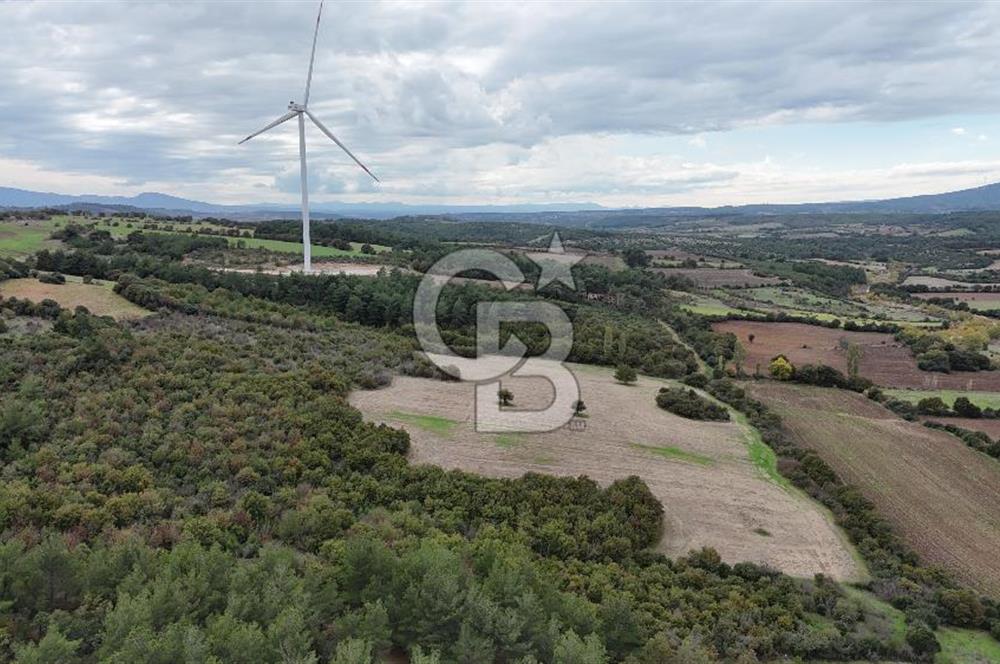 ÇANAKKALE BAYRAMİÇ ÜÇYOL KÖY'ÜNDE YATIRIMLIK PREMİUM FIRSAT!!!