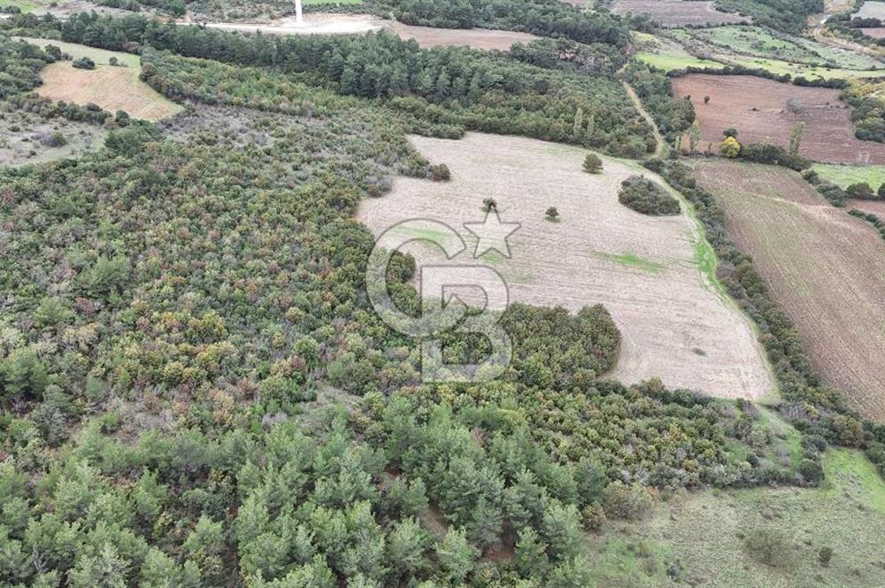 ÇANAKKALE BAYRAMİÇ ÜÇYOL KÖY'ÜNDE YATIRIMLIK PREMİUM FIRSAT!!!