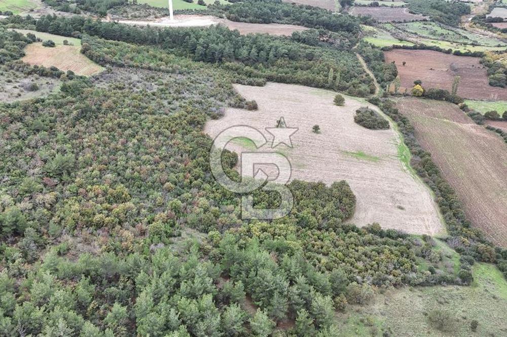 ÇANAKKALE BAYRAMİÇ ÜÇYOL KÖY'ÜNDE YATIRIMLIK PREMİUM FIRSAT!!!