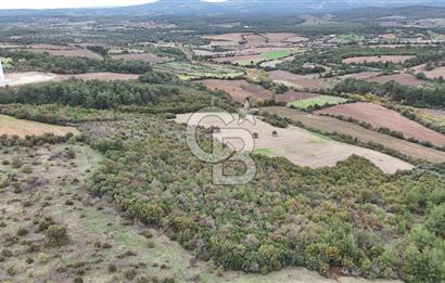 ÇANAKKALE BAYRAMİÇ ÜÇYOL KÖY'ÜNDE YATIRIMLIK PREMİUM FIRSAT!!!