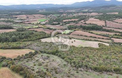 ÇANAKKALE BAYRAMİÇ ÜÇYOL KÖY'ÜNDE YATIRIMLIK PREMİUM FIRSAT!!!