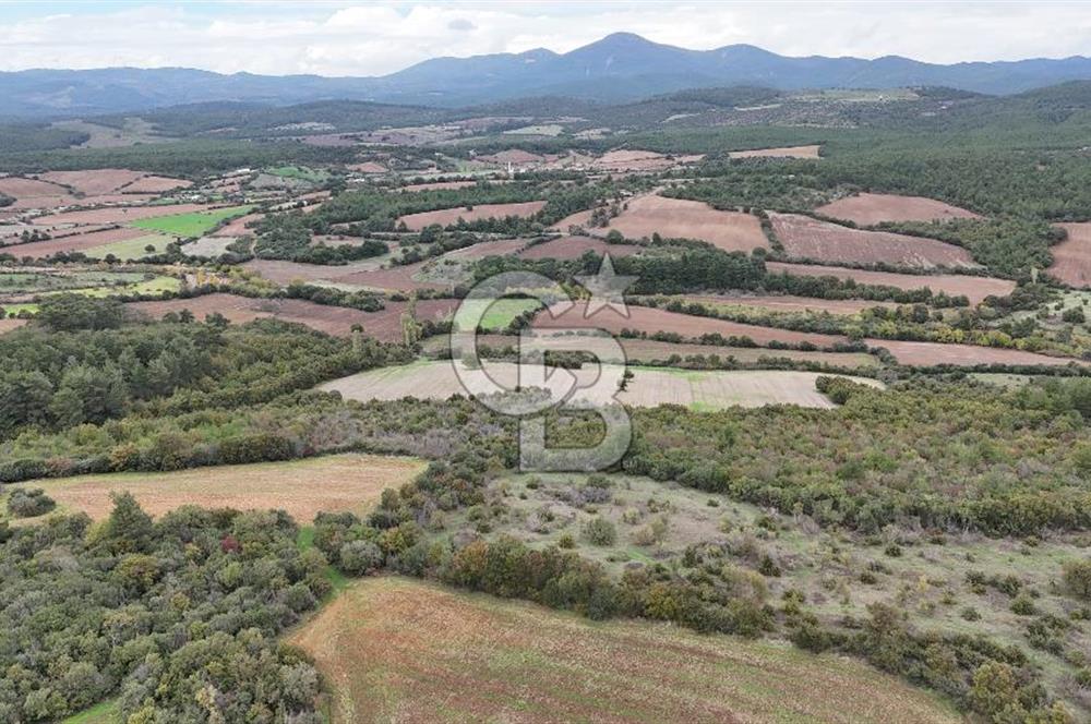 ÇANAKKALE BAYRAMİÇ ÜÇYOL KÖY'ÜNDE YATIRIMLIK PREMİUM FIRSAT!!!