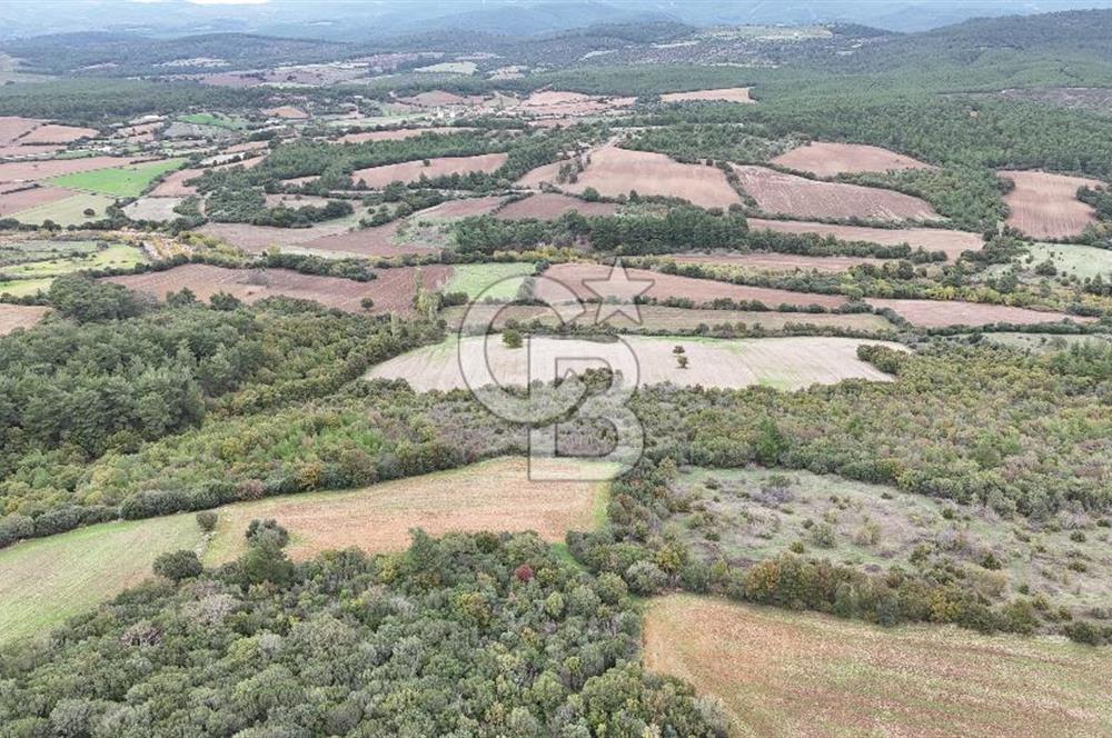 ÇANAKKALE BAYRAMİÇ ÜÇYOL KÖY'ÜNDE YATIRIMLIK PREMİUM FIRSAT!!!